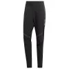 Adidas TERREX Terrex Agravic Hybrid Pants - Running Trousers